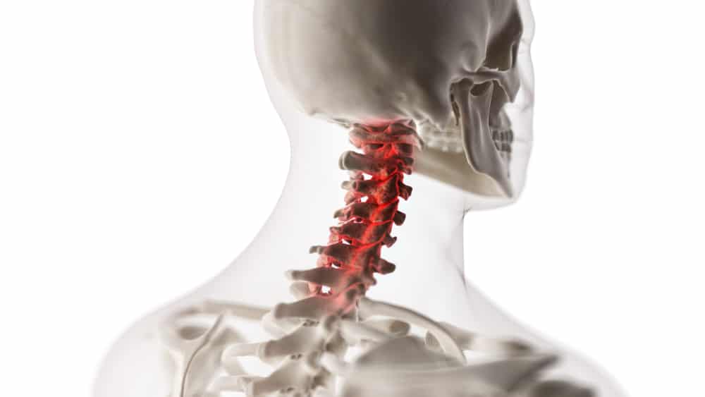 Diagram of cervical spine